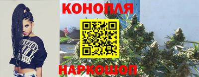 молекула духа Заводоуковск