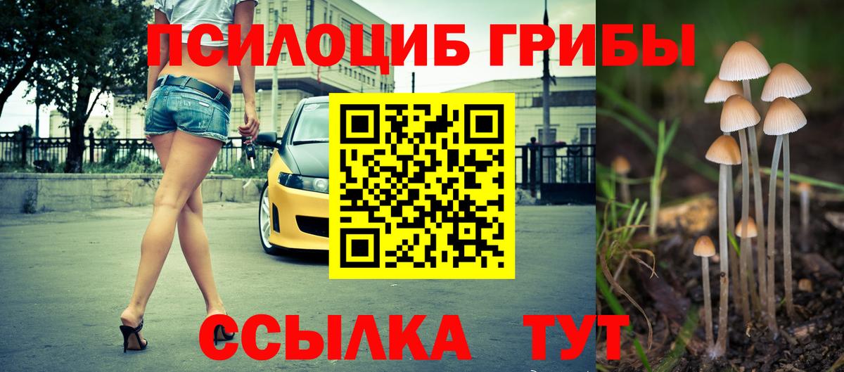 Галлюциногенные грибы мухоморы Лесной